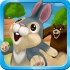 Bunny Run