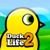 Duck Life 2