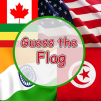 Guess The Flag