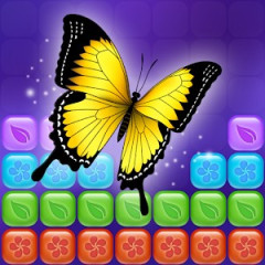 Beauty Puzzle