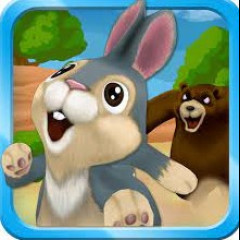 Bunny Run