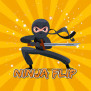 Flip Ninja