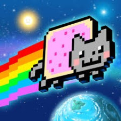 Nyan Cat Fly