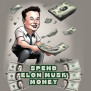Spend Elon Musk Money