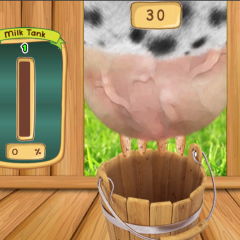 milk the cow